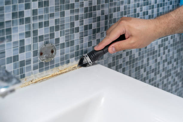 Best Attic Mold Removal  in Nanakuli, HI